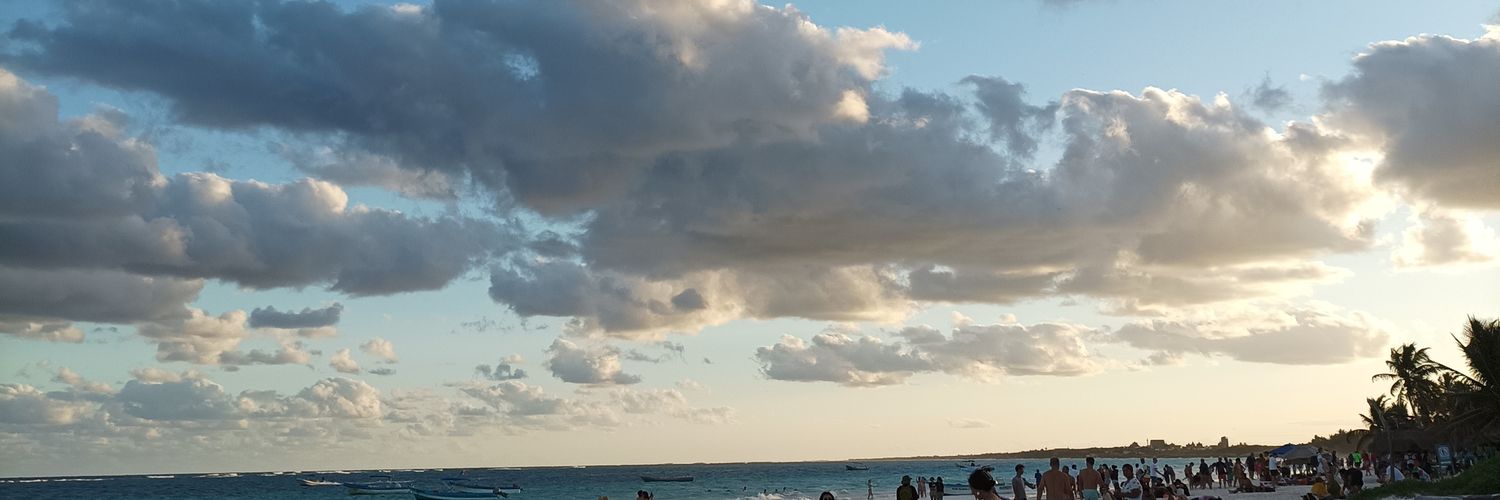 lariguillaumin's profile banner image