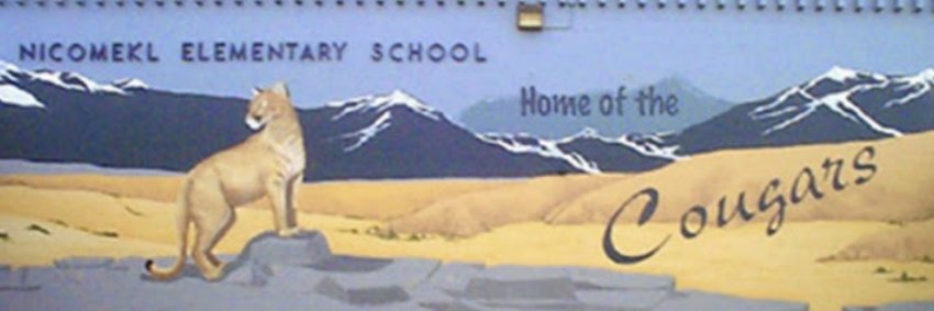 Nicomekl PAC banner