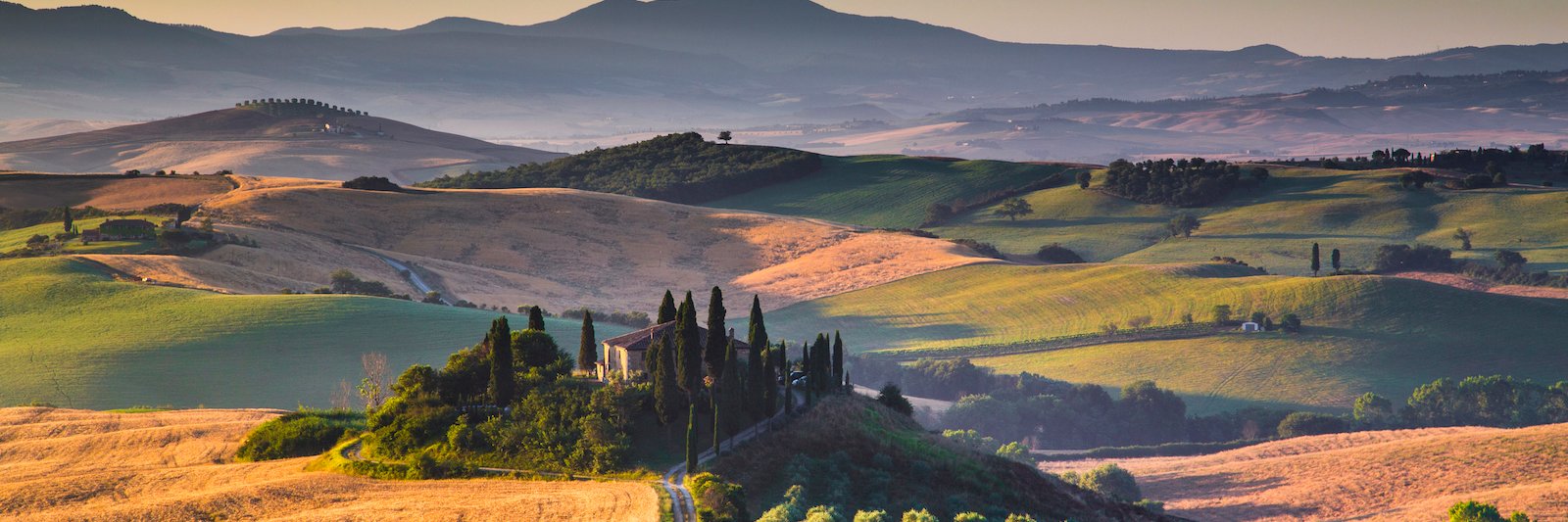 ChevalierWines's profile banner image