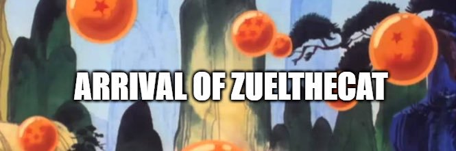 Zuel! banner