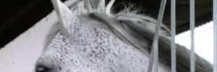 adancis's profile banner image