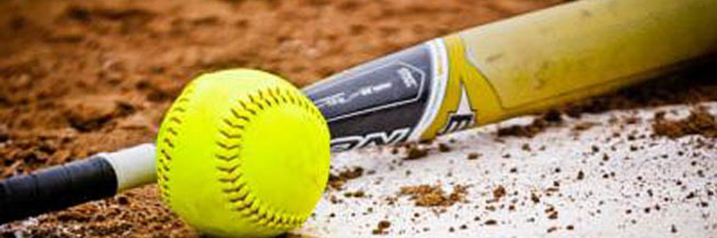 Metea Softball banner