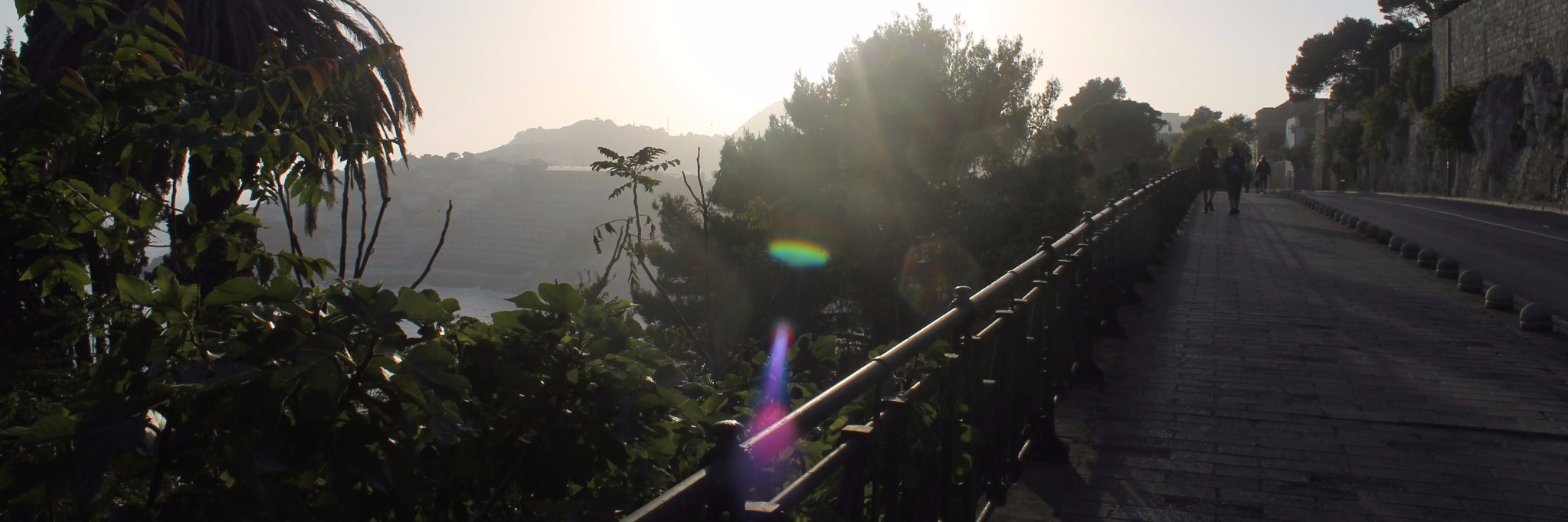 soulvivacity's profile banner image
