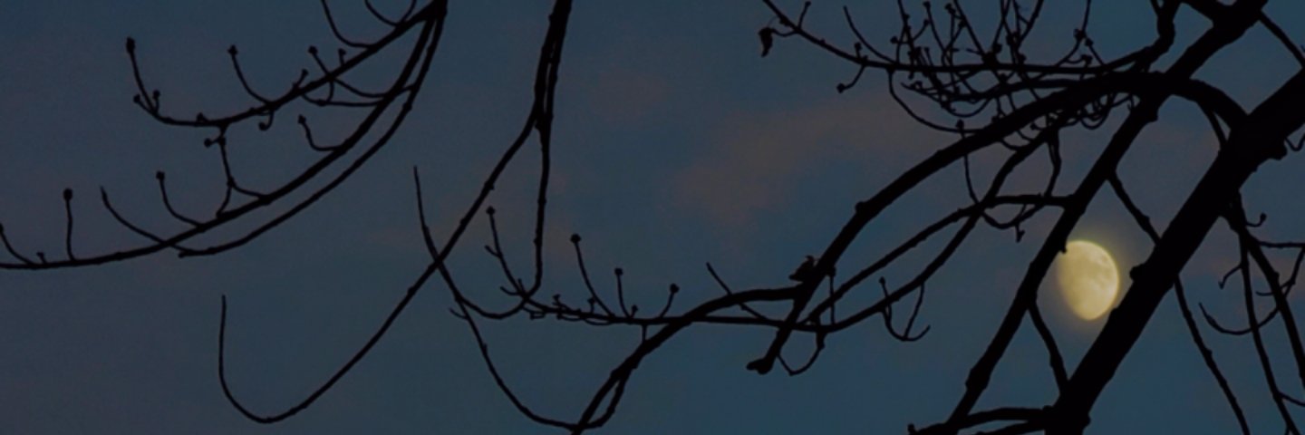 Tyide_'s profile banner image