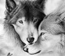 yesica109's profile banner image