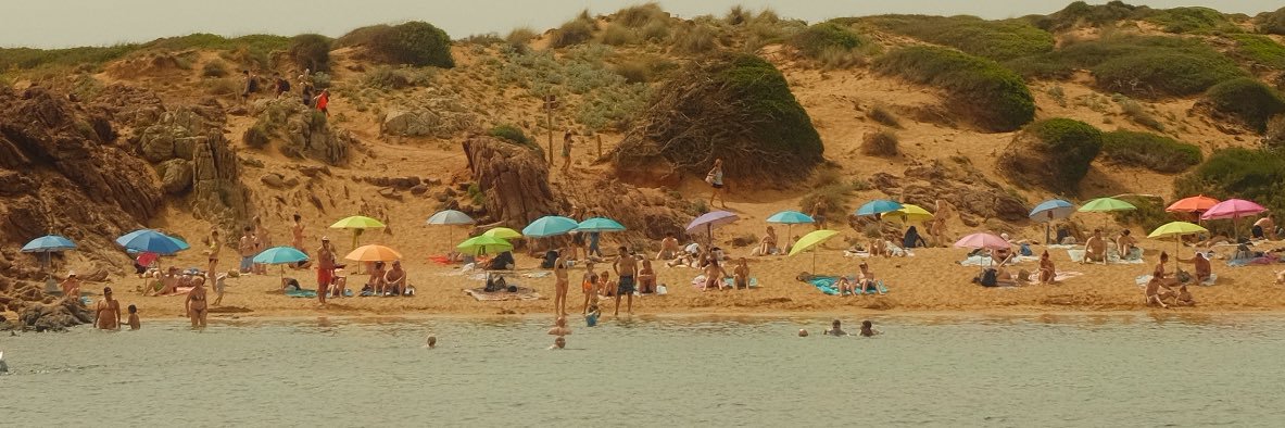 blazer dutton banner