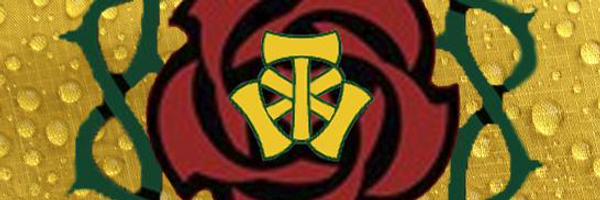 JustLuminator Profile Banner