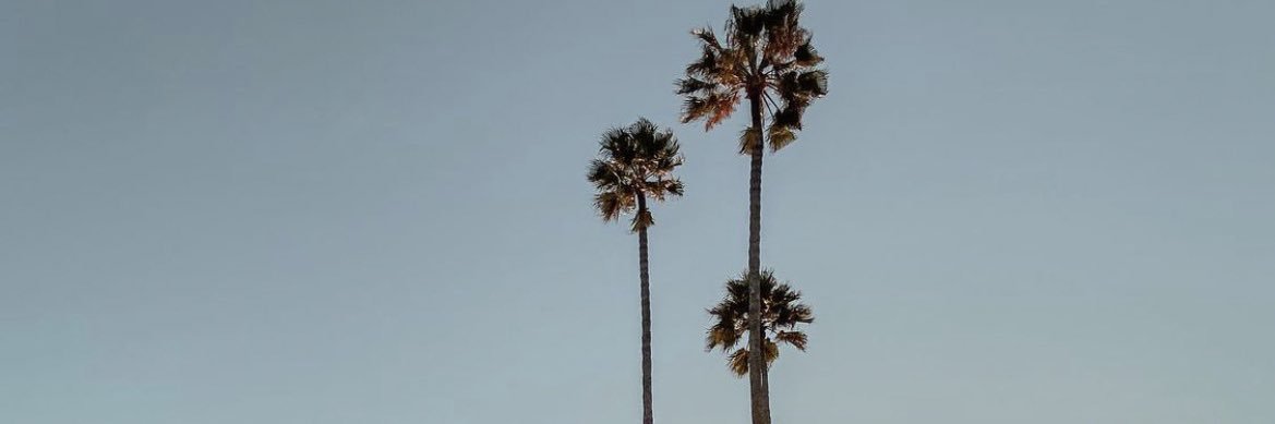 vanesssamarie_'s profile banner image
