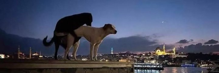 Leogmaster's profile banner image