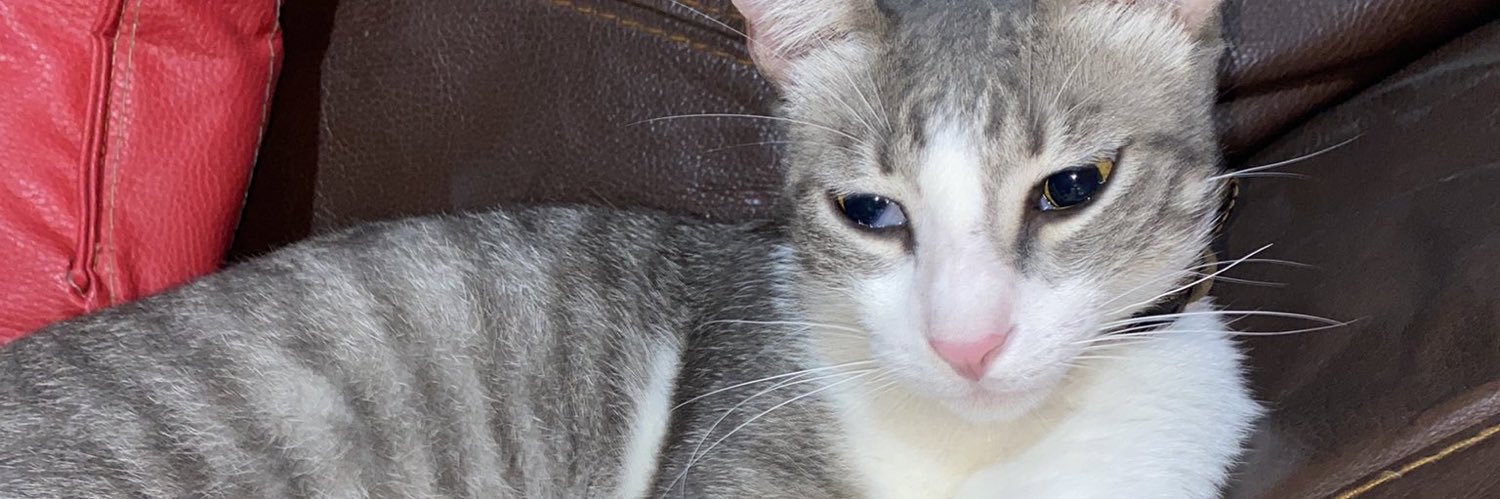 emevldz's profile banner image