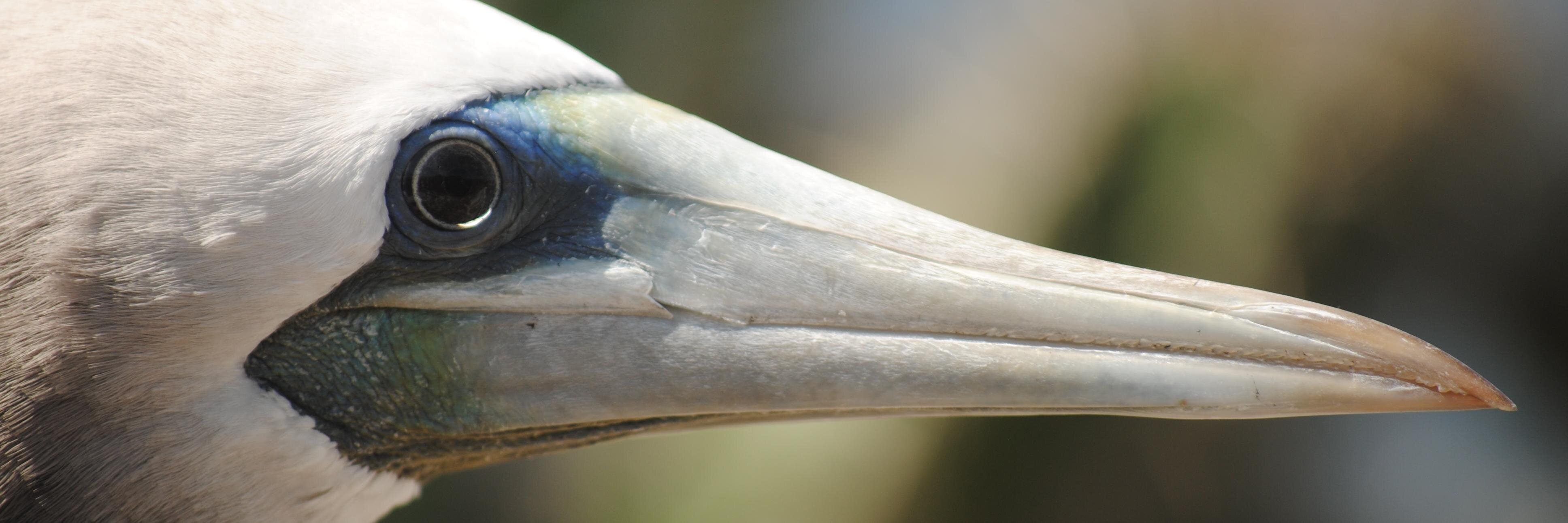 ACorona9's profile banner image