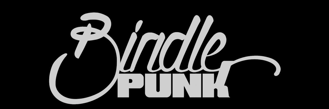 BindlePunk's profile banner image