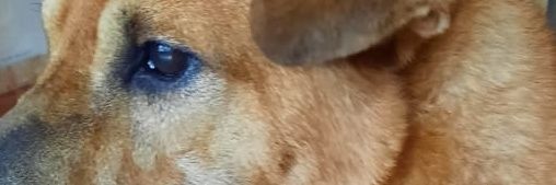 marciare_'s profile banner image