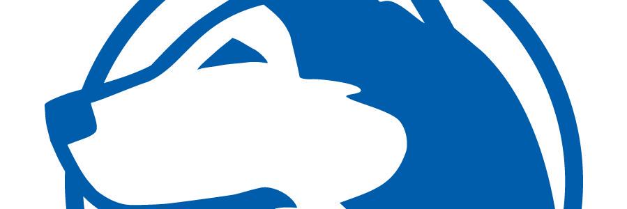 MrPotts282's profile banner image