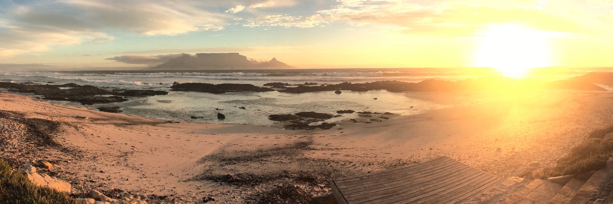 Jessica Ricco banner