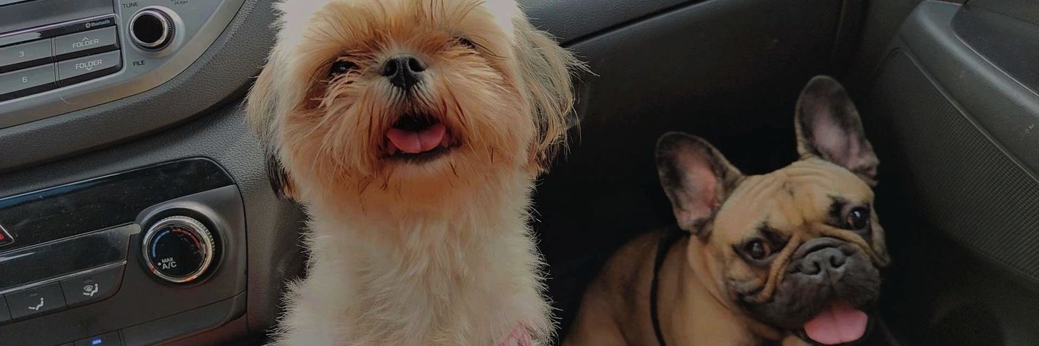 louisedici's profile banner image