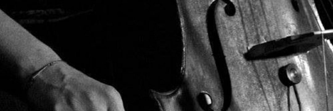 aysetncel's profile banner image