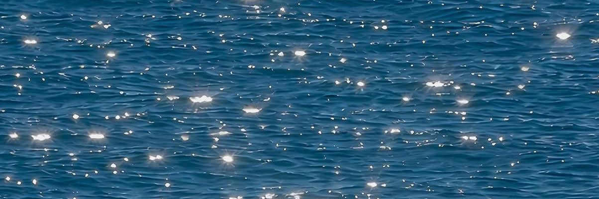 danaballan's profile banner image