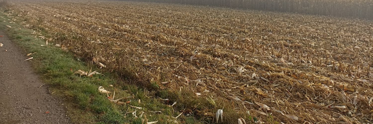 Sir Thomas Fitzpatrick Phillip Moore banner