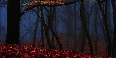 LuciferVoron's profile banner image