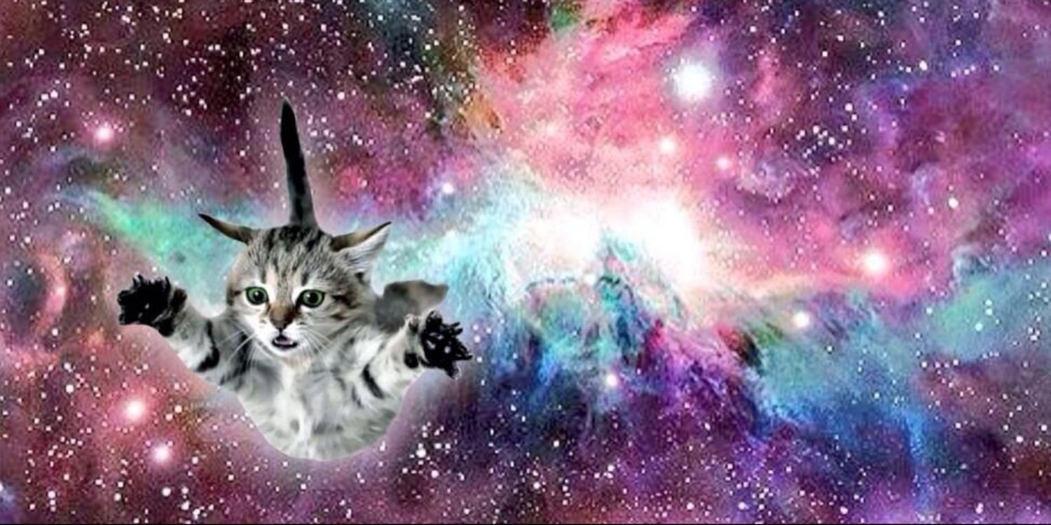 _thisisugly_'s profile banner image