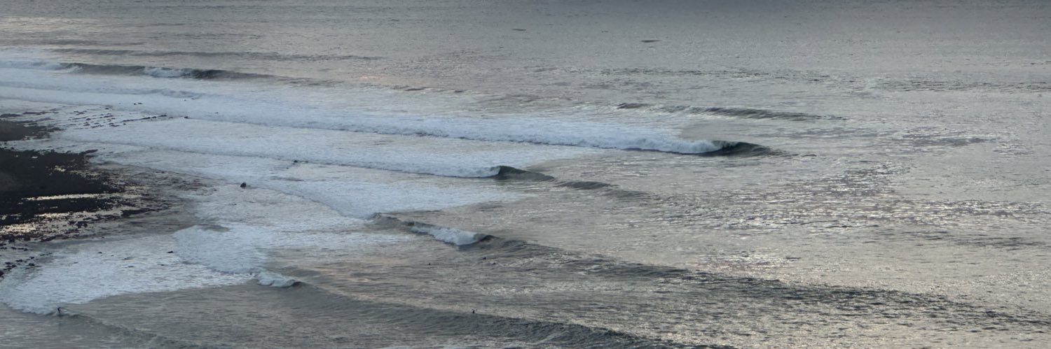 Mosstafarian's profile banner image