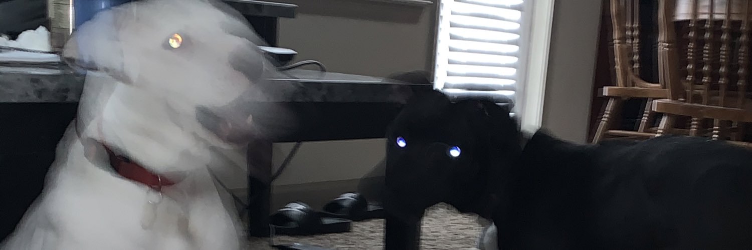 chance_mccall's profile banner image