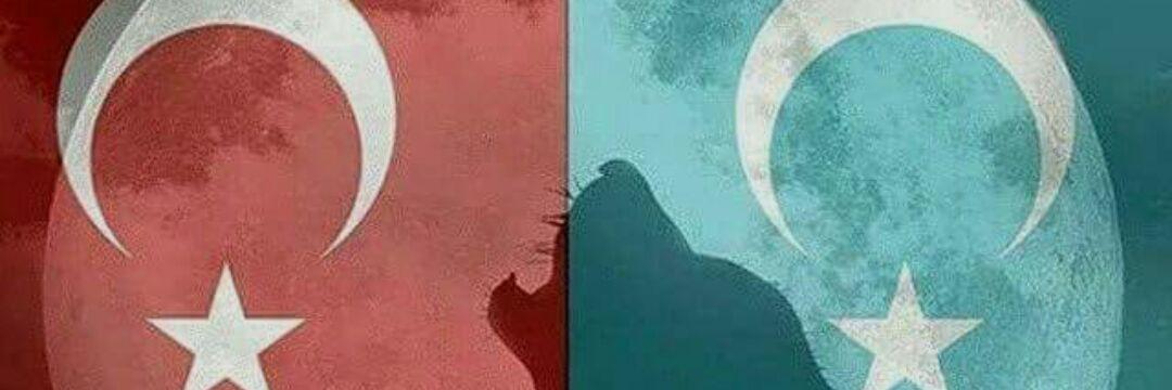 koraydin83's profile banner image