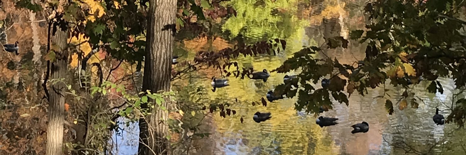 Moxie is now in charge of content. banner