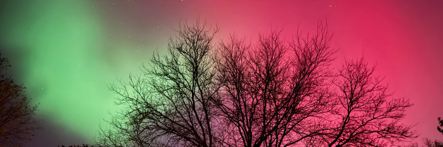 betsyjustis's profile banner image