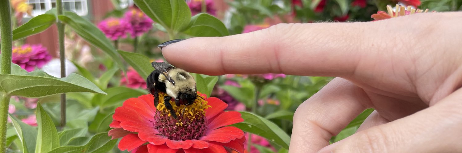 Jennifer Gould banner