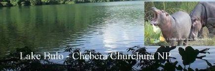 ethio_banchi's profile banner image