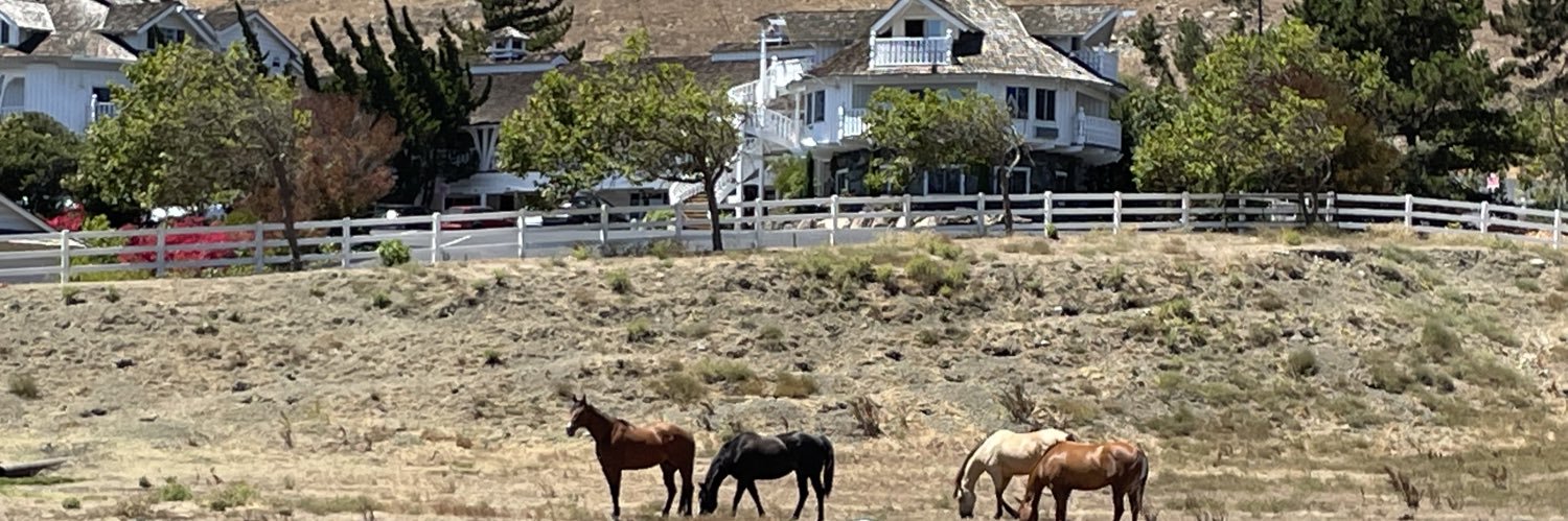 Juda Pearl, MPH banner