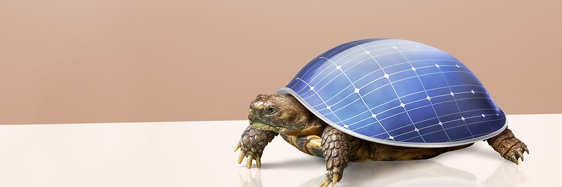 VU Faculteit der Bètawetenschappen banner