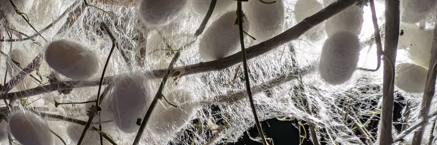 Barrett Klein banner