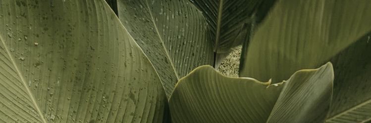 xexeeluo's profile banner image