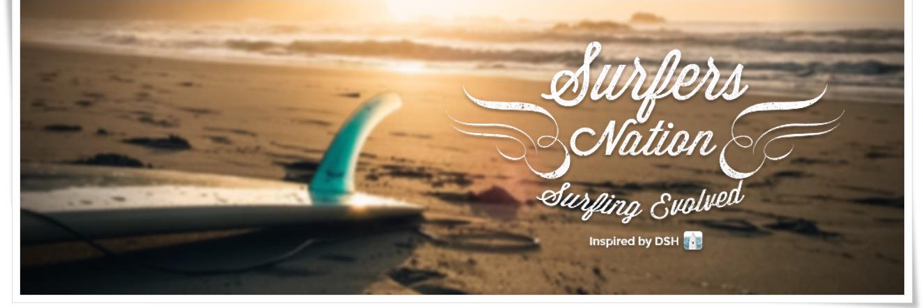 DataSurfHouse banner