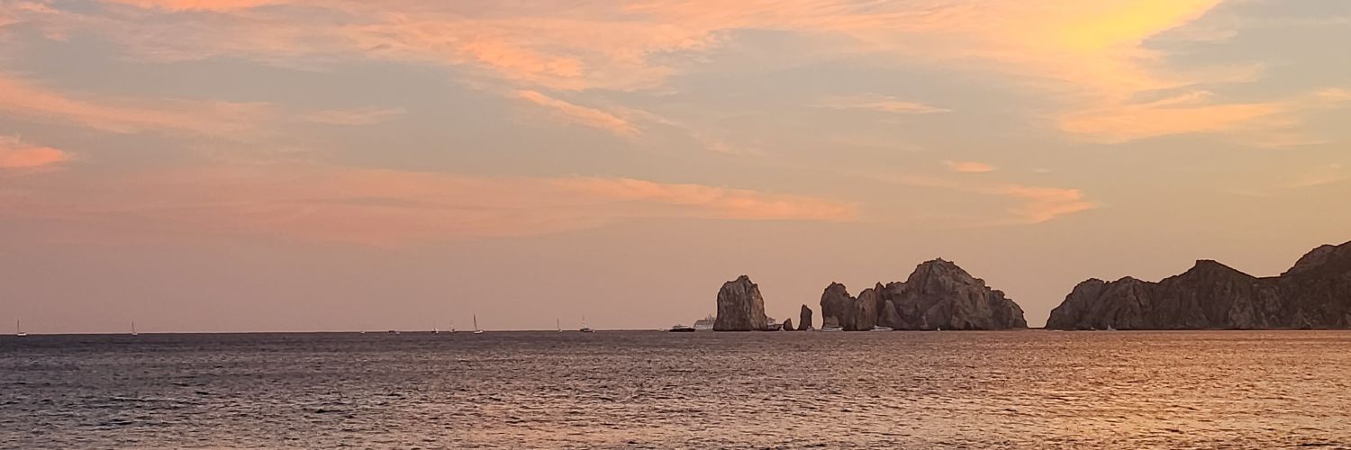 LlamaInTheHouse's profile banner image