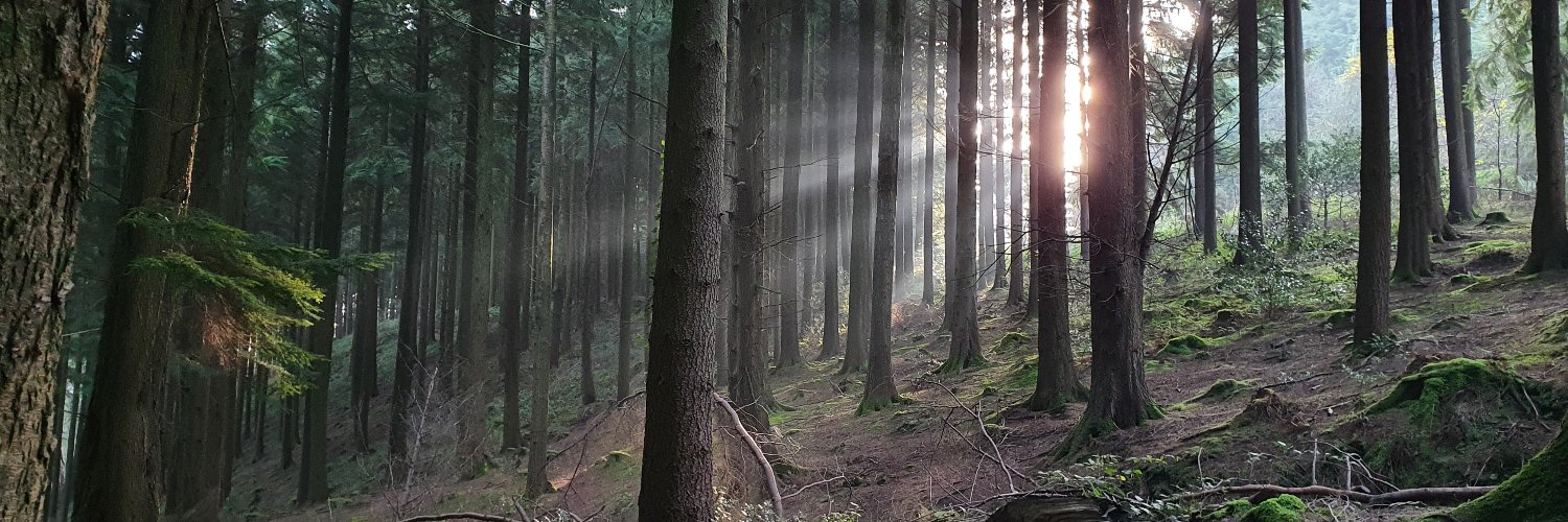 coharford's profile banner image