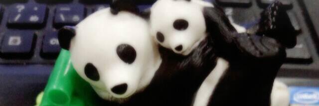 上央慎 banner