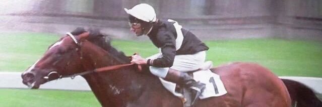 Graham Saveker banner