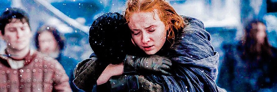 Sansa Stark banner