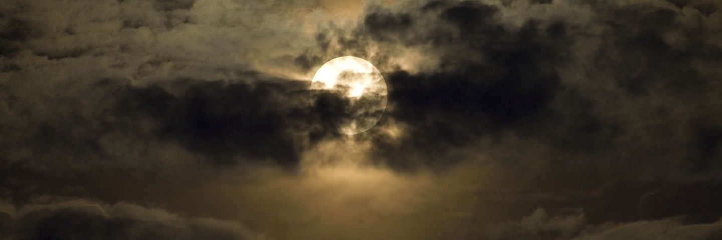 Kate_Filya's profile banner image