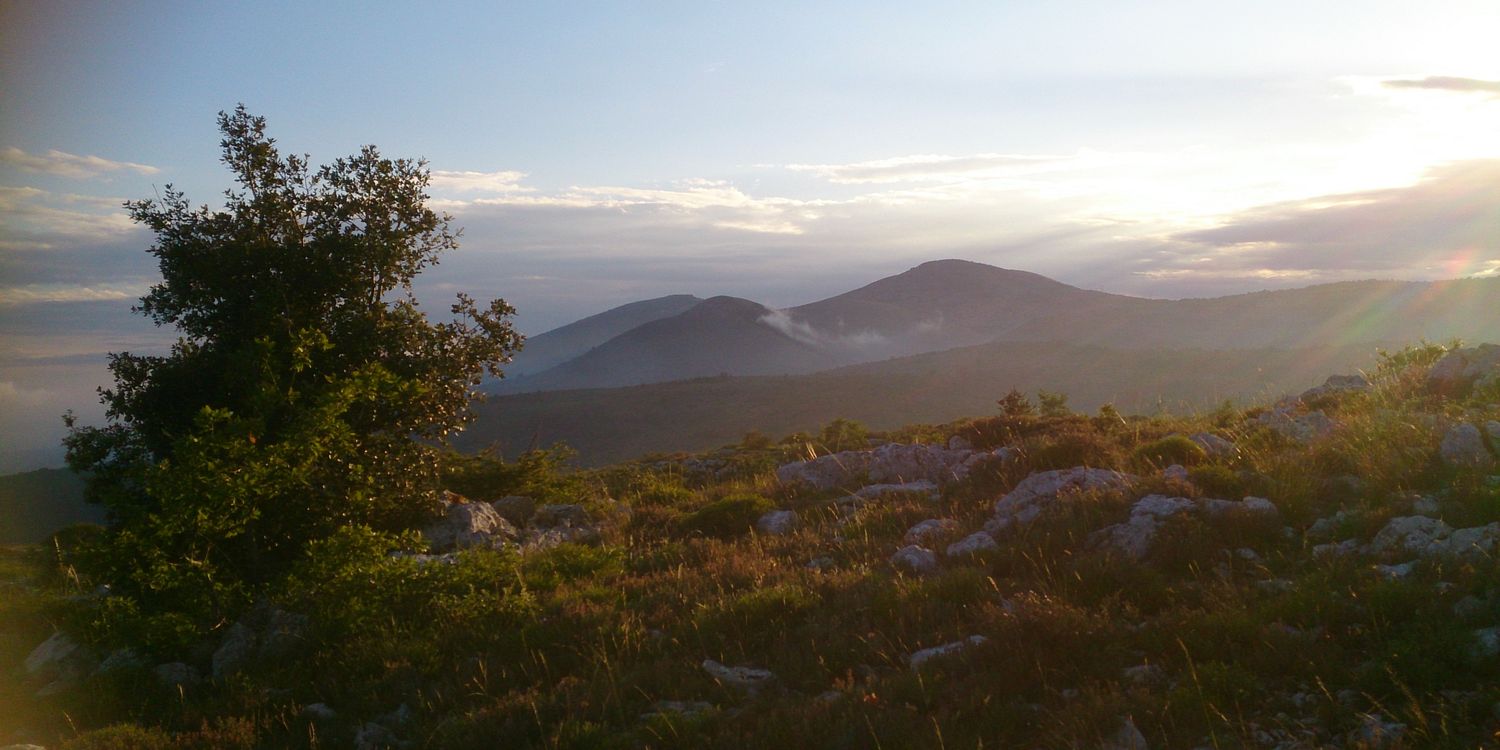 fredericpollina@live banner