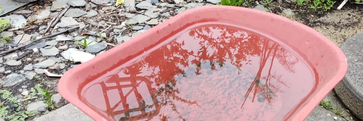 libliblibrary's profile banner image