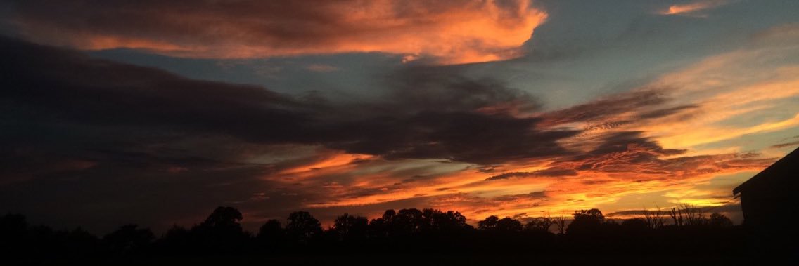LynchMycah's profile banner image