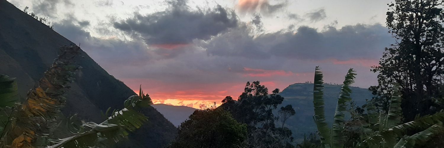 Dionel Martínez 🏳️‍🌈 banner