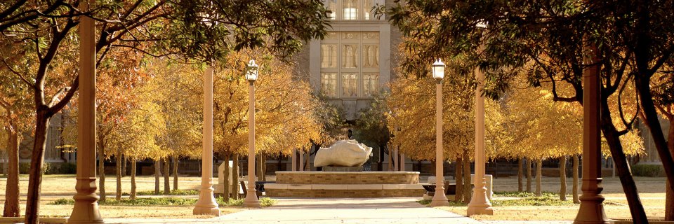 ra_stein's profile banner image