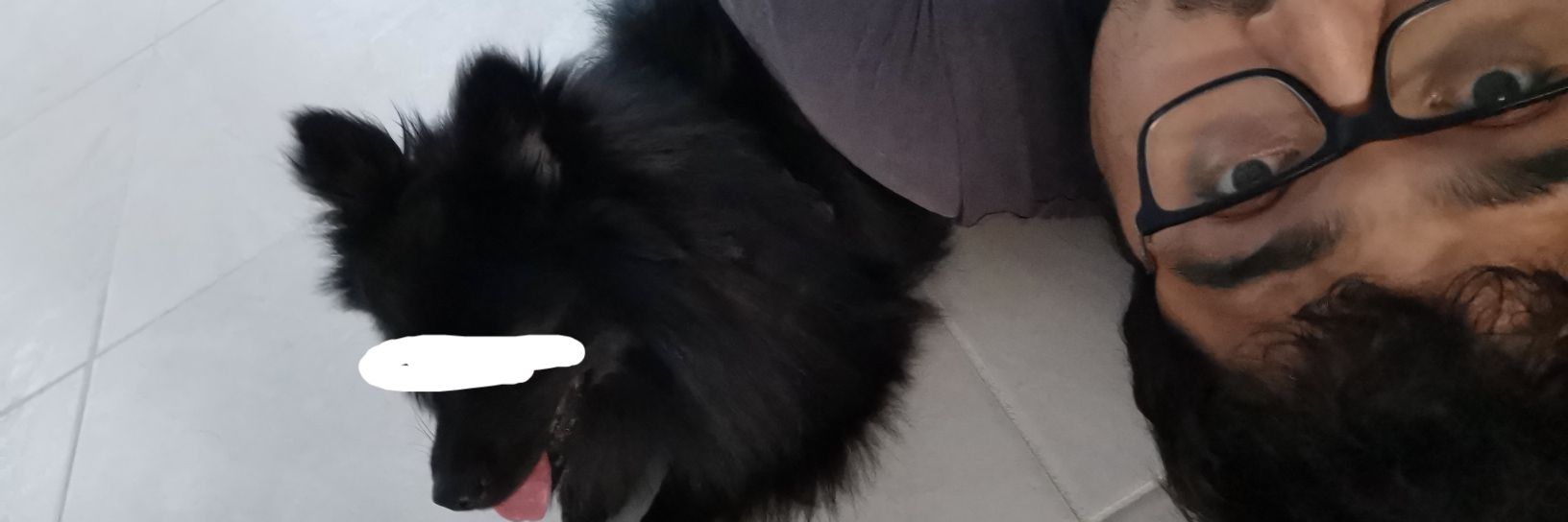 Far 卅(•‿•)卅 banner