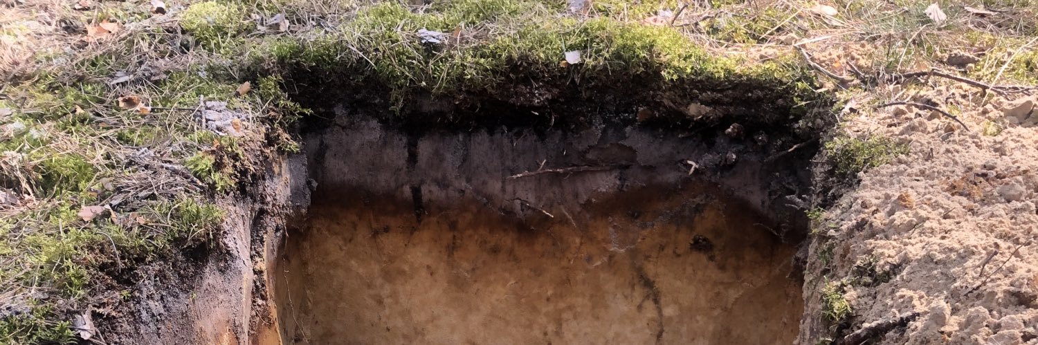 Piotr Pacanowski banner